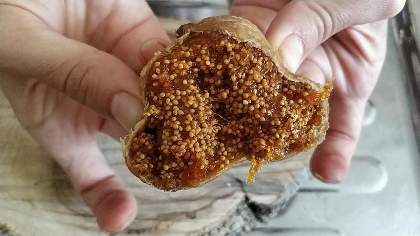 Aydın Dağ İnciri 1kg