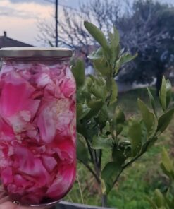 Alternative view of Lahana Turşusu 1000cc