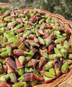 Kınalı Çiçek Bamya 1kg