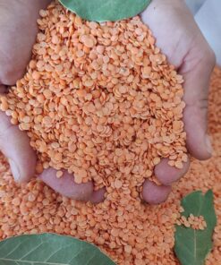 Yerli Kırmızı Mercimek 1kg