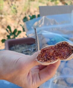 Alternative view of Aydın Dağ İnciri 1kg