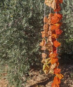 Dolmalık Kuru Biber 50adet