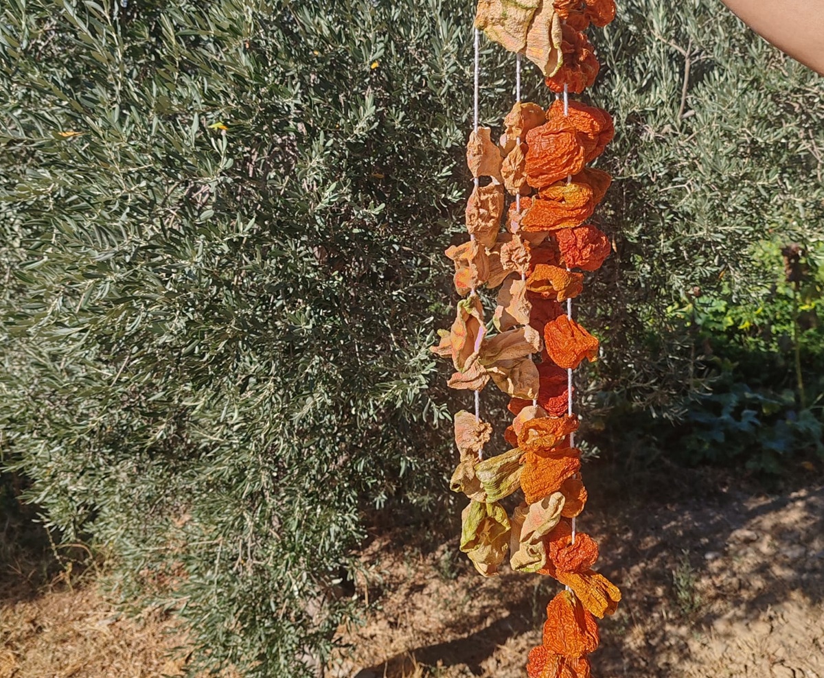 Dolmalık Kuru Biber 50adet