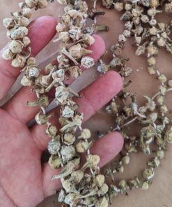 Kuru Çiçek Bamya 100gr