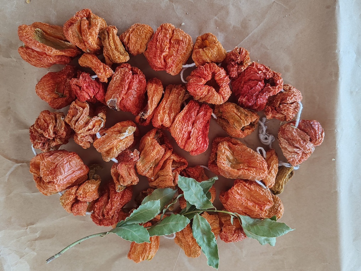 Dolmalık Kuru Biber 50adet - Görsel 2